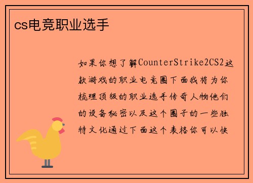 cs电竞职业选手